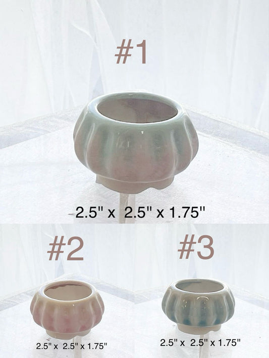 Small Ceramic Succulent Pot