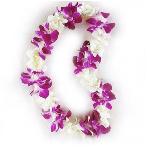 [FRESH FLOWER] Purple and white single orchid leis