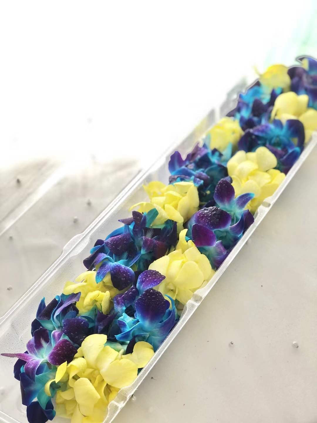 [FRESH FLOWER] Blue and yellow double orchid leis